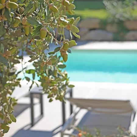 Ξενοδοχείο Domaine Mandarine Private Pools &
